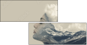 147970794