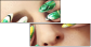 153131746