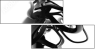15727552