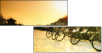 16482031