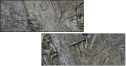 20059228