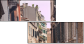20333502