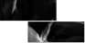 20350082