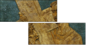 20884913