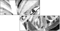21369236