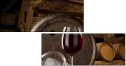 21442815