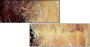 21581087