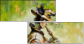 21588085
