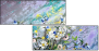 21607065