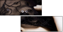21991281