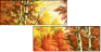 22048454