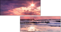 22254013