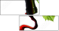 22748445