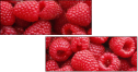 22816665