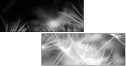23180311