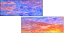 244702406