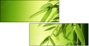 24604585