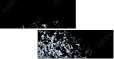 24792295