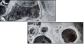 25109455