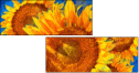 256376669