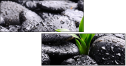 25878336