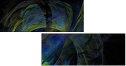 26166751