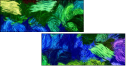262127014