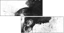 279359235