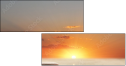 29303543