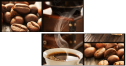 29331456