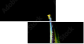 29381007