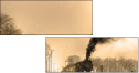 29517510