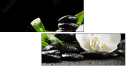 29543339