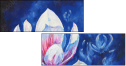 29661116