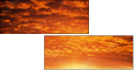 29892519