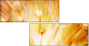30258126