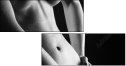 30291161