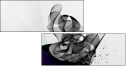 30296813