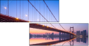 304313822