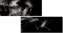 30521892