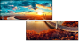 306790577