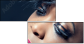 30987802