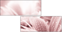 31030439