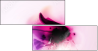 31395557