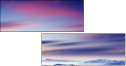 31651562