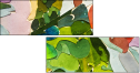 31753034