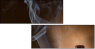 32102145