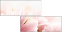32108465