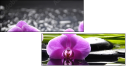 32225691
