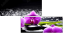 32250117